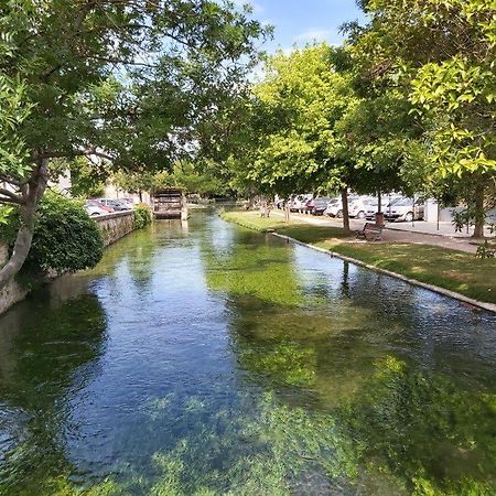 Gite Dans Les Pins Avec Piscine Villa Мазан Екстериор снимка