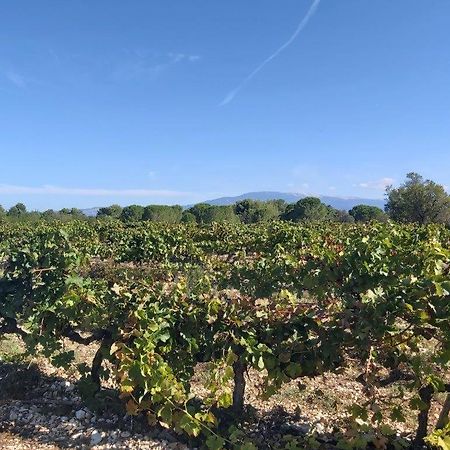 Gite Dans Les Pins Avec Piscine Villa Мазан Екстериор снимка