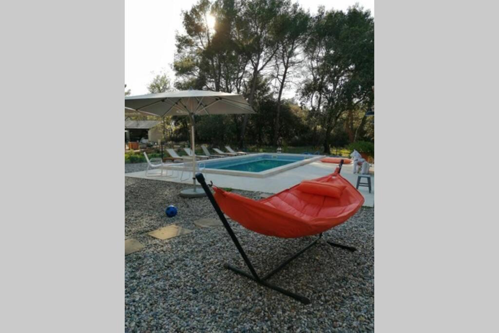 Gite Dans Les Pins Avec Piscine Villa Мазан Екстериор снимка