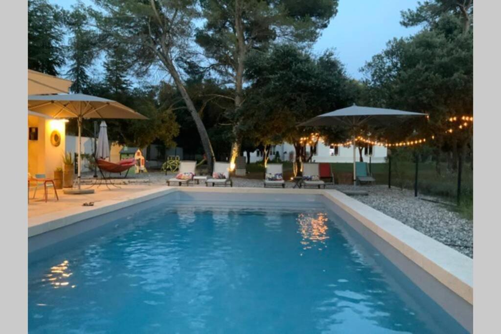 Gite Dans Les Pins Avec Piscine Villa Мазан Екстериор снимка