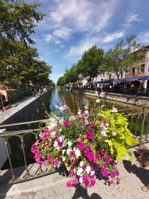 Gite Dans Les Pins Avec Piscine Villa Мазан Екстериор снимка