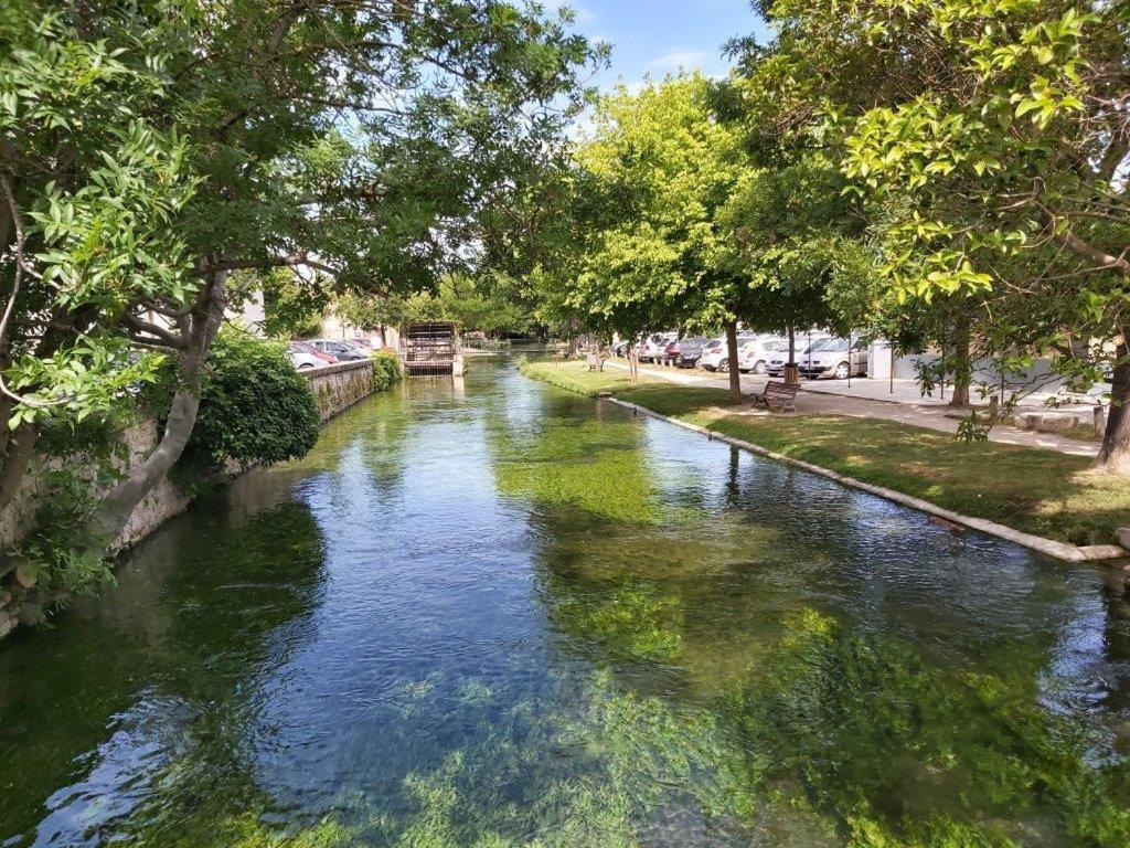 Gite Dans Les Pins Avec Piscine Villa Мазан Екстериор снимка