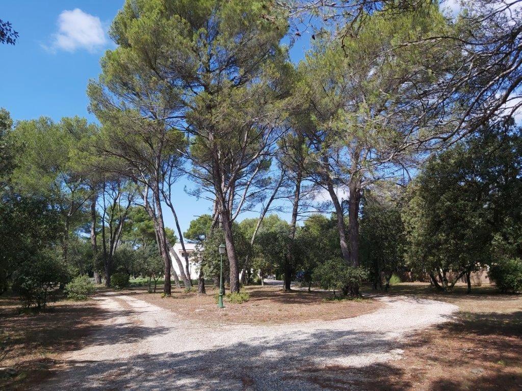 Gite Dans Les Pins Avec Piscine Villa Мазан Екстериор снимка